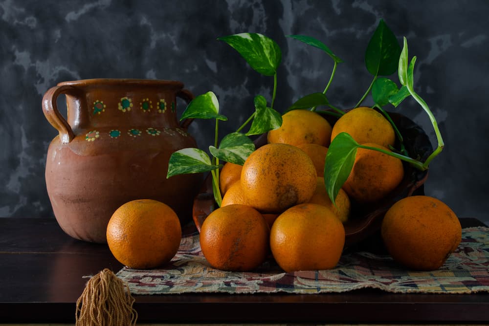 Naranjo (Fotografía)
