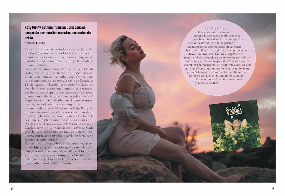 paginas